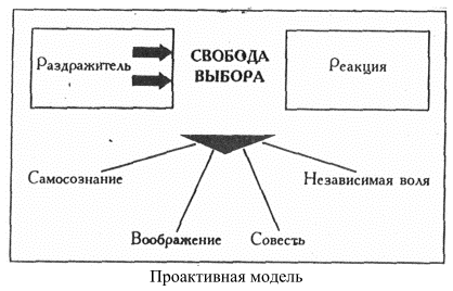proaktivnaya model01